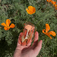 Winona Irene - Hair Claw - California Poppy