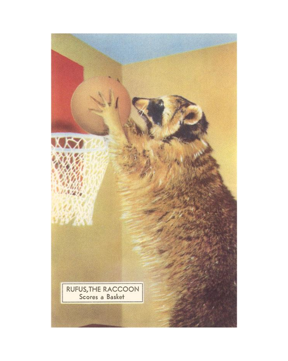 Found Image Press - Raccoon Playing Basketball Postcard