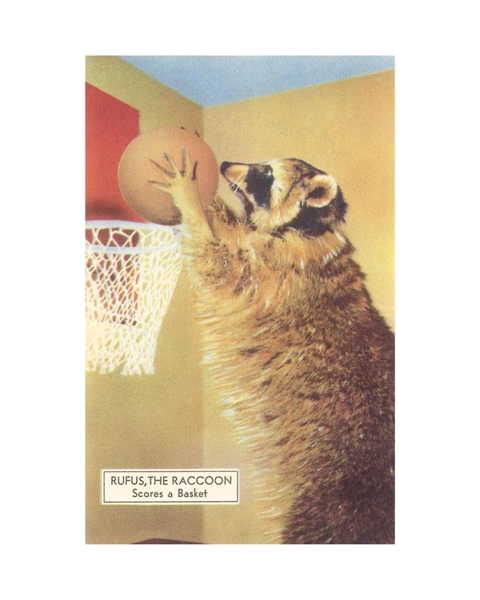 Found Image Press - Raccoon Playing Basketball Postcard