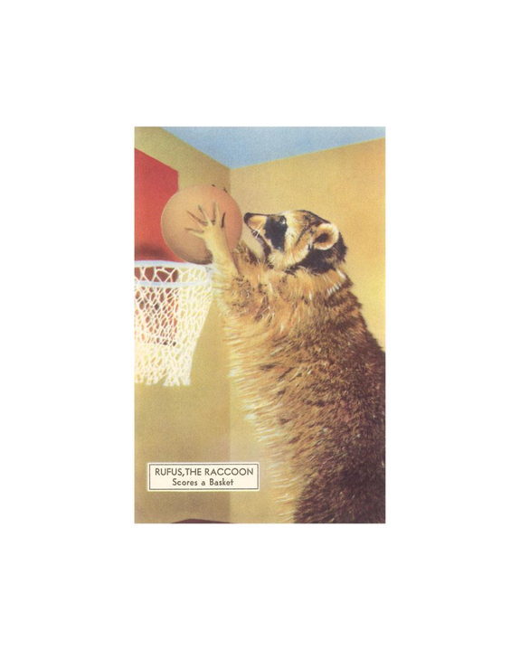 Found Image Press - Raccoon Playing Basketball Magnet