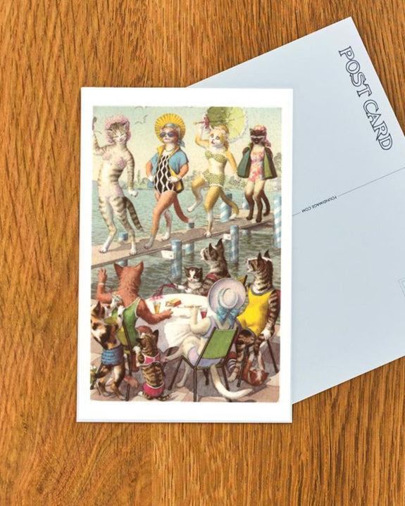 Found Image Press - Crazy Cats On Fashion Runway Postcard