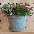 Woljam - Sundae Series Planter - Sky