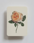 Canonbury Press - Soft Peach Rose Greeting Card