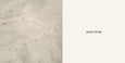 Now I See Spring By Mac Barnett & Jon Klassen