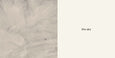 Now I See Spring By Mac Barnett & Jon Klassen