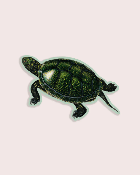 Stay home Club - Total Turtle Sticker