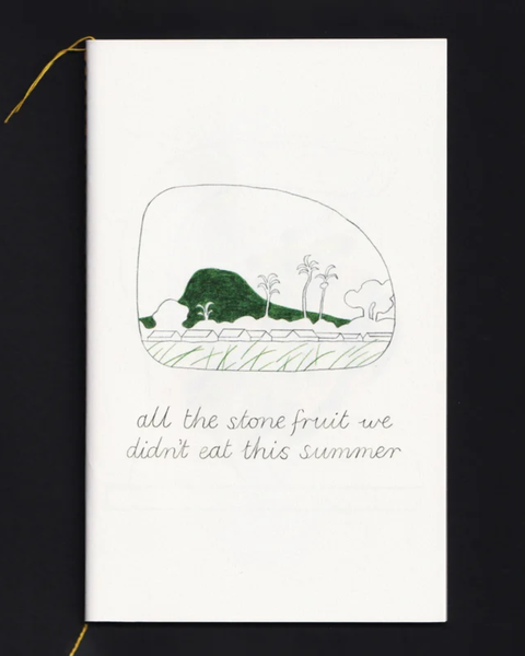 Carla McRae - 'All the Stone Fruit we didn't eat this Summer' Zine