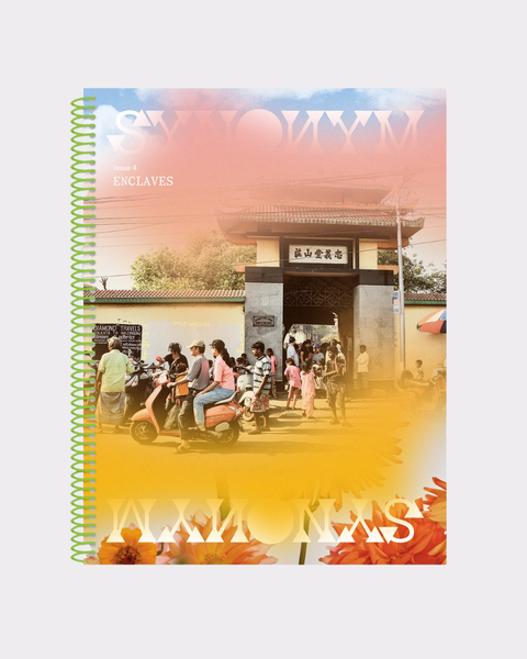 Synonym - Issue 4: Enclaves