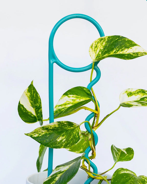 Lucky Things - Real Teal Plant Pin