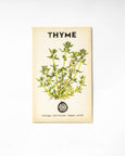 The Little Veggie Patch Co - Thyme 'Summer' Heirloom Seeds