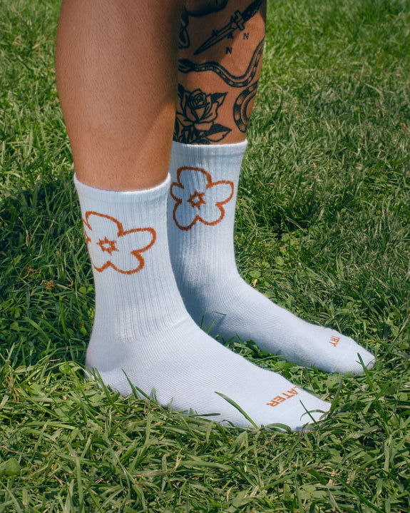 Tarta Gelatina - Socks - Try Later