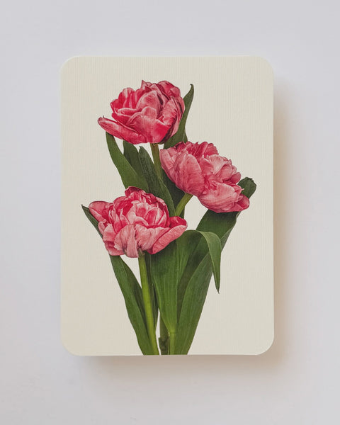 Canonbury Press - Pink Tulips Greeting Card
