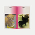 Wet Pussy Zine by Tiny Studio