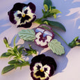 Winona Irene - Mini Hair Claw - Wild Pansy
