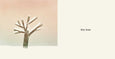 Now I See Winter By Mac Barnett & Jon Klassen