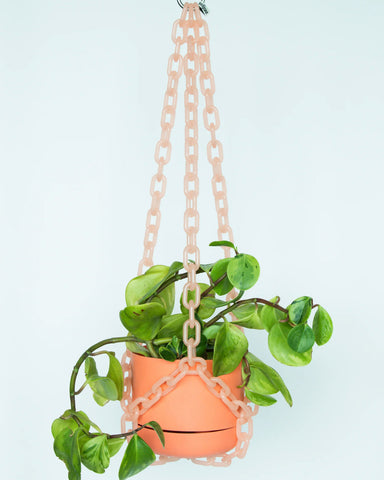 Woljam Plant Hangers