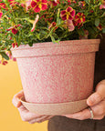 Woljam - Sundae Series Planter - Cherry
