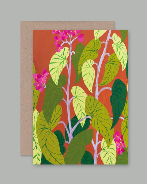AHD - Greetings Card - A Begonia Belongs by the Door