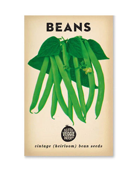 The Little Veggie Patch Co - Bean 'Windsor Long Pod' Heirloom Seeds