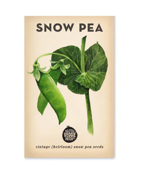 The Little Veggie Patch Co - Snow Pea 'Oregon' Heirloom Seeds